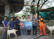 Iduladha, The Park Pejaten Bagikan Hewan Kurban ke Masyarakat