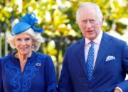 Ratu Camilla Jadi Penghalang Rekonsiliasi Raja Charles III dan Pangeran Harry