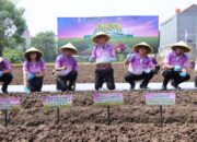 Reda Manthovani Gaungkan Ketahanan Pangan dari Desa, Banten Jadi Wilayah Percontohan