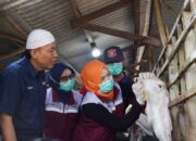 SIG Bagikan 237 Hewan Kurban Setara 21 Ton Daging di 20 Provinsi