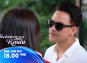 Liburan Biru-Amira & Insiden Tak Terduga di Pulau